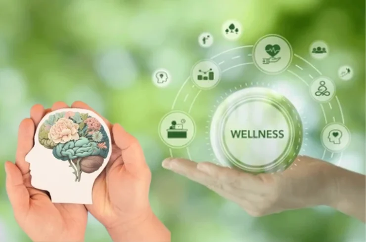 Holistic Health & Wellness------11